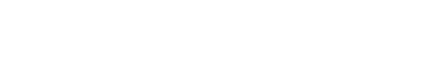 Solidicon